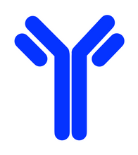 Charger l'image dans la galerie, Arg (DA139)