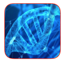 Charger l'image dans la galerie, ALLin™ Taq DNA Polymerase