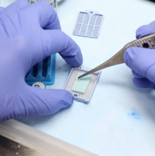 Charger l'image dans la galerie, Support pour 6 biopsies BxChip® (50)