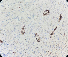 Charger l'image dans la galerie, CD56 (DA028)