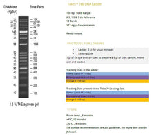 Charger l'image dans la galerie, Echelle d'ADN 1Kb Take5™