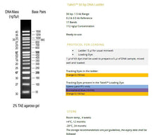 Charger l'image dans la galerie, Echelle d'ADN 50 pb Take5™