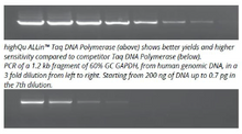 Charger l'image dans la galerie, ALLin™ Taq DNA Polymerase