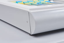 Charger l'image dans la galerie, Plaque profonde réfrigérante -35°C, TKF22