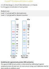 Charger l'image dans la galerie, CozyHi™ Echelle de protéine précolorée (200 applications)