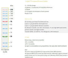 Charger l'image dans la galerie, CozyXL™ Echelle de protéine précolorée (200 applications)