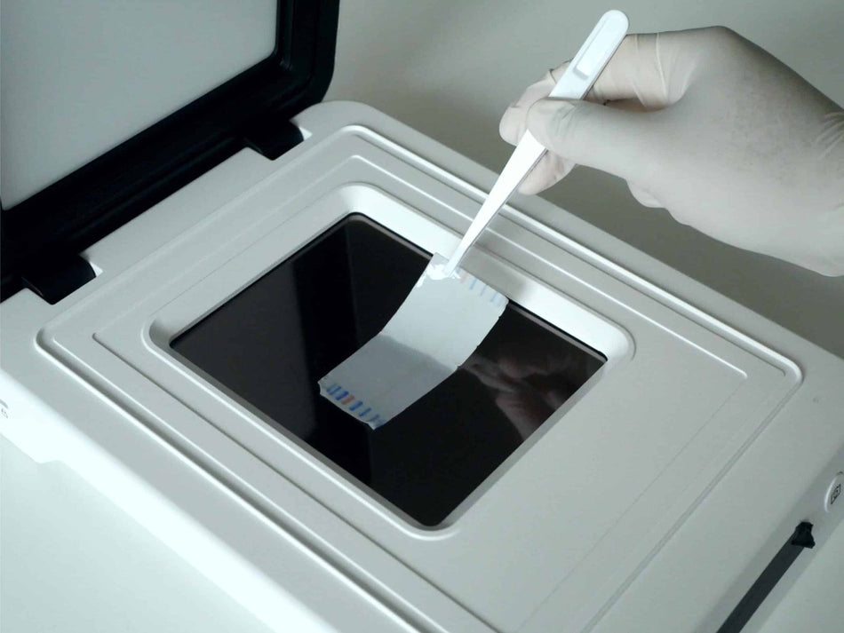 Dépôt d'une membrane de western blot sur le capteur du qTouch Pro