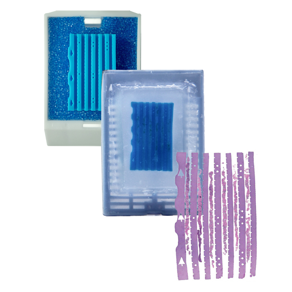 Matrice d'inclusion BxChip® 6 canaux de Lumea