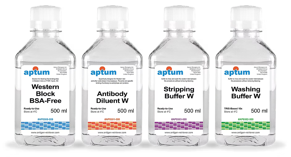 Gamme Aptum de réactifs Western blot