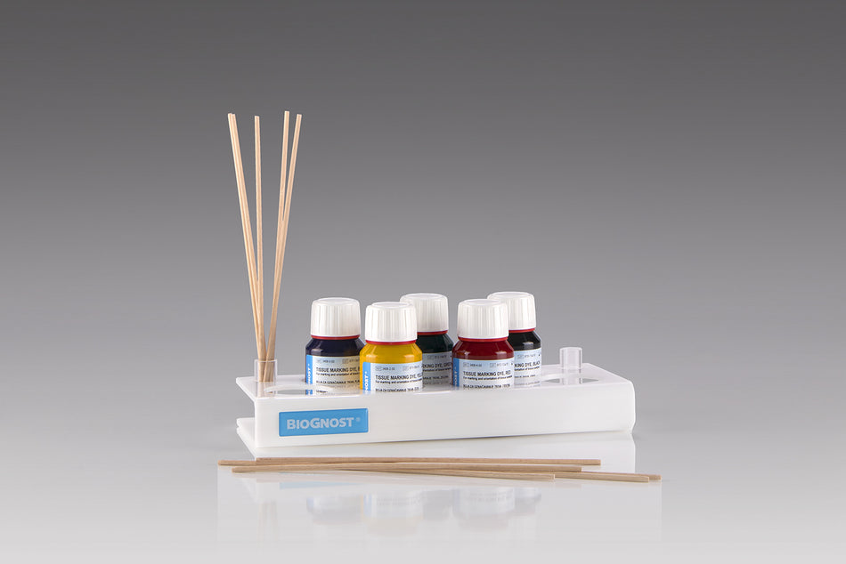Encres de marquage Kit 5 couleurs