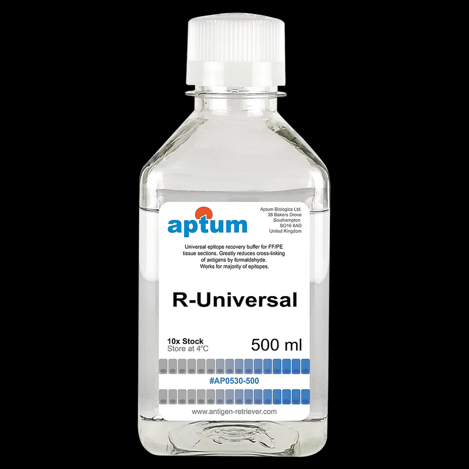 R-Universal, tampon de démasquage antigénique 10x, 500 ml