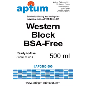Western Block BSA-Free, solution de blocage pour Western blot, 500 ml