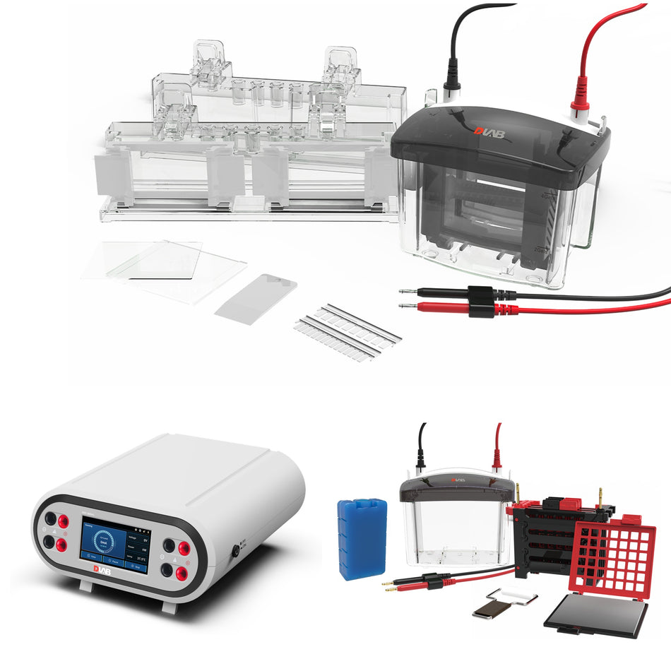 Système western blot DLAB : cuve DL-MINI04, cuve de transfert DL-ZY04 et générateur DEP-300HC