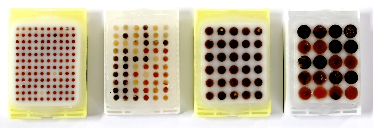 Blocs de tissue microarray réalisés à différents diamètres