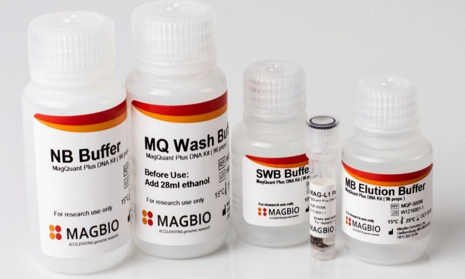 MagQuant Plus DNA Kit V2 — quantification et normalisation d'ADN