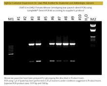 Charger l&#39;image dans la galerie, Kit PCR directe SampleIN™

