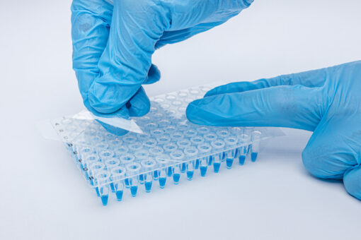 Film adhésif transparent pour plaques multipuits IST-120 QuickSeal PCR™